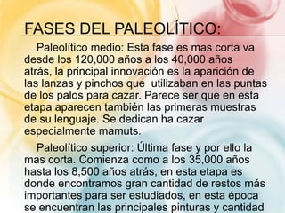 FASES DEL PALEOLÍTICO:
Paleolítico medio: Esta fase es mas corta va
desde los 120,000 años a los 40,000 años
atrás, la principal innovación es la aparición de
las lanzas y pinchos que utilizaban en las puntas
de los palos para cazar. Parece ser que en esta
etapa aparecen también las primeras muestras
de su lenguaje. Se dedican ha cazar
especialmente mamuts.
Paleolítico superior: Última fase y por ello la
mas corta. Comienza como a los 35,000 años
hasta los 8,500 años atrás, en esta etapa es
donde encontramos gran cantidad de restos más
importantes para ser estudiados, en esta época
se encuentran las principales pinturas y cantidad
 