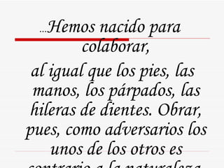 … Hemos nacido para colaborar, al igual que los pies, las manos, los párpados, las hileras de dientes. Obrar, pues, como adversarios los unos de los otros es contrario a la naturaleza. 