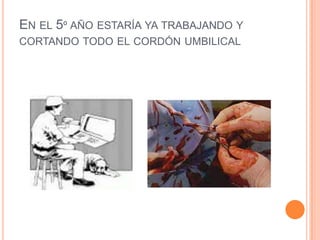 En el 5º año estaría ya trabajando y cortando todo el cordón umbilical 