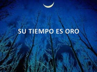 Proyecto De Vida