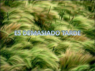 Proyecto De Vida