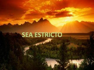 Proyecto De Vida