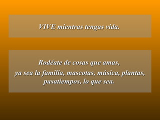 VIVE mientras tengas vida.  Rodéate de cosas que amas,  ya sea la familia, mascotas, música, plantas, pasatiempos, lo que sea.  