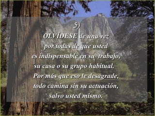 5) OLVÍDESE de una vez  por todas de que usted  es indispensable en su  trabajo,  su casa o su grupo habitual.  Por más que eso le desagrade,  todo camina sin su actuación,  salvo usted mismo.  