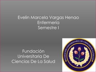 Evelin Marcela Vargas Henao Enfermería Semestre I Fundación Universitaria De Ciencias De La Salud 