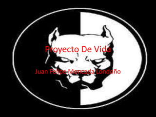 Proyecto De Vida Juan Felipe Moncada Londoño 