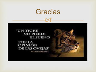 Gracias 
 
