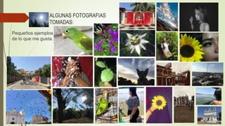 ALGUNAS FOTOGRAFIAS
TOMADAS:
Pequeños ejemplos
de lo que me gusta.
 