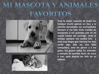 Tuve la mejor mascota de todos los
tiempos murió apenas un mes y la
extraño demasiado me acompañaba
siempre si me veía triste trataba de
animarme si me quedaba sola en mi
cuarto estaba ahí conmigo todo el
tiempo siempre me recibía feliz y
muy muy alegre que muriera me hizo
sentir algo sola sin una fíele
compañera, amo los perros y a los
gatos, me gustan todos los animales
y siempre he querido tener de cerca
a uno, pero dejarlo ser feliz en su
hábitat.
 