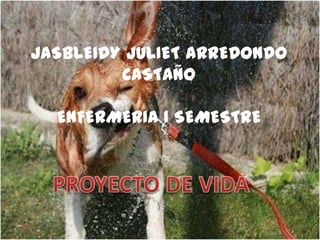 JASBLEIDYJULIET ARREDONDO CASTAÑOENFERMERIA I SEMESTRE PROYECTO DE VIDA 