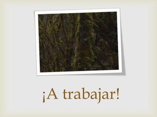 ¡A trabajar!
 