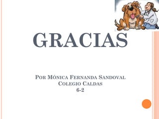 GRACIAS
POR MÓNICA FERNANDA SANDOVAL
COLEGIO CALDAS
6-2
 
