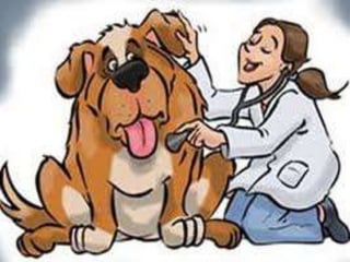 Proyecto de vida mono diapositivas