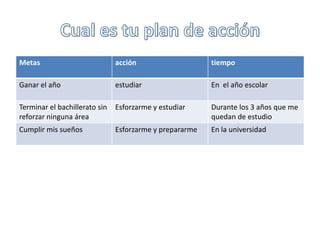 Cual es tu plan de acción
