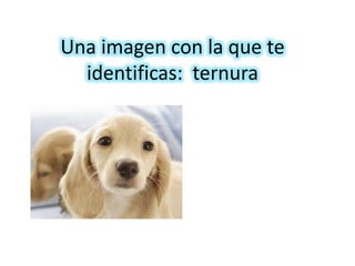 Una imagen con la que te identificas:  ternura