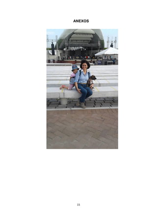 15
ANEXOS
 
