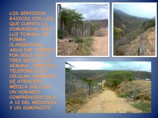 LOS SERVICIOS
BÁSICOS CON LOS
QUE CUENTA LA
COMUNIDAD SON :
LUZ TOMADA DE
FORMA
CLANDESTINA,
AGUA POR TUBERÍA
POR SÓLO DOS A
TRES VECES A LA
SEMANA, SERVICIO
TELEFÓNICO DE
CELULAR, SERVICIO
DE ATENCIÓN
MÉDICA SÓLO EN
UN HORARIO
COMPRENDIDO DE 8
A 12 DEL MEDIODÍA
Y UN SIMONCITO
 