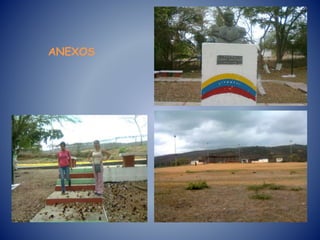ANEXOS
 