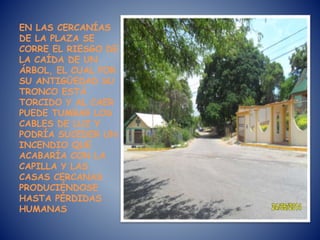 EN LAS CERCANÍAS
DE LA PLAZA SE
CORRE EL RIESGO DE
LA CAÍDA DE UN
ÁRBOL, EL CUAL POR
SU ANTIGÜEDAD SU
TRONCO ESTÁ
TORCIDO Y AL CAER
PUEDE TUMBAR LOS
CABLES DE LUZ Y
PODRÍA SUCEDER UN
INCENDIO QUE
ACABARÍA CON LA
CAPILLA Y LAS
CASAS CERCANAS
PRODUCIÉNDOSE
HASTA PÉRDIDAS
HUMANAS
 