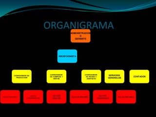 ORGANIGRAMA