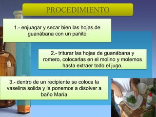 PROCEDIMIENTO

   1.- enjuagar y secar bien las hojas de
          guanábana con un pañito


                  2.- triturar las hojas de guanábana y
               romero, colocarlas en el molino y molemos
                         hasta extraer todo el jugo.


 3.- dentro de un recipiente se coloca la
vaselina solida y la ponemos a disolver a
               baño María
 