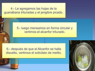 4.- Le agregamos las hojas de la
guanábana trituradas y el jengibre picado.



         5.- luego meneamos en forma circular y
               vertimos el alcanfor triturado.




 6.- después de que el Alcanfor se halla
 disuelto, vertimos el solicilato de metilo.
 
