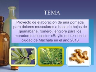 TEMA
  Proyecto de elaboración de una pomada
para dolores musculares a base de hojas de
   guanábana, romero, jengibre para los
 moradores del sector «Rayito de luz» en la
     ciudad de Machala en el año 2013
 