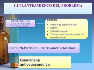 1.1 PLANTEAMIENTO DEL PROBLEMA



 PROBLEMA QUE         CAUSAS
AQUEJA DOLORES          exceso de ejercicio físico
  MUSCULARES
                        Estrés
                        Falta de ejercicio
                        Trabajos que demandan mucho
                        esfuerzo físico



Barrio “RAYITO DE LUZ” Ciudad de Machala


      Guanábana
      antiespasmódico
 