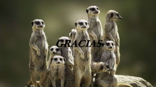 GRACIAS
 