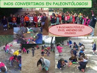 ¡NOS CONVERTIMOS EN PALEONTÓLOGOS!
Y BUSCAMOS FÓSILES
EN EL ARENERO DEL
COLEGIO.
 
