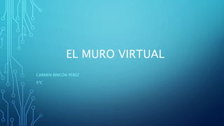 EL MURO VIRTUAL
CARMEN RINCÓN PÉREZ
5ºC
 