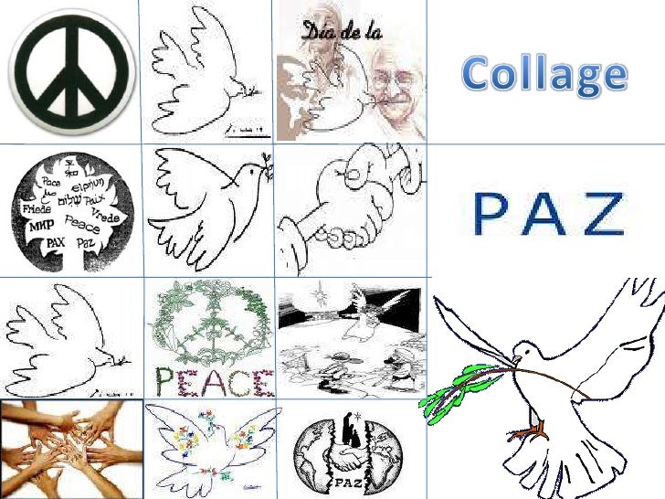 Proyecto D La Paz