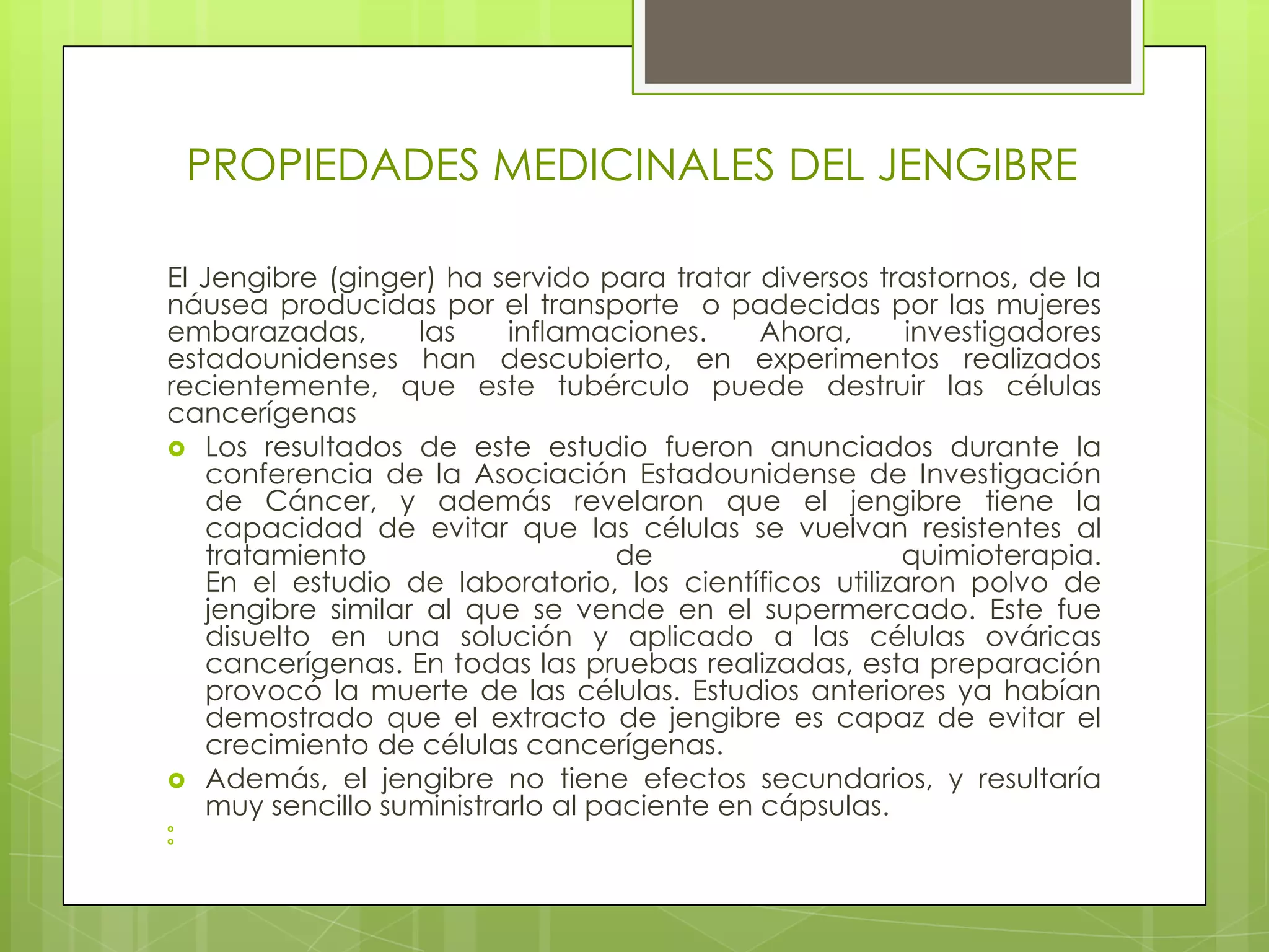 PROPIEDADES MEDICINALES DEL JENGIBRE

El Jengibre (ginger) ha servido para tratar diversos trastornos, de la
náusea producidas por el transporte o padecidas por las mujeres
embarazadas,        las    inflamaciones.     Ahora,     investigadores
estadounidenses han descubierto, en experimentos realizados
recientemente, que este tubérculo puede destruir las células
cancerígenas
 Los resultados de este estudio fueron anunciados durante la
    conferencia de la Asociación Estadounidense de Investigación
    de Cáncer, y además revelaron que el jengibre tiene la
    capacidad de evitar que las células se vuelvan resistentes al
    tratamiento                     de                  quimioterapia.
    En el estudio de laboratorio, los científicos utilizaron polvo de
    jengibre similar al que se vende en el supermercado. Este fue
    disuelto en una solución y aplicado a las células ováricas
    cancerígenas. En todas las pruebas realizadas, esta preparación
    provocó la muerte de las células. Estudios anteriores ya habían
    demostrado que el extracto de jengibre es capaz de evitar el
    crecimiento de células cancerígenas.
 Además, el jengibre no tiene efectos secundarios, y resultaría
    muy sencillo suministrarlo al paciente en cápsulas.


 