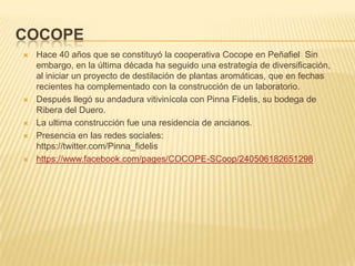 COCOPE
 Hace 40 años que se constituyó la cooperativa Cocope en Peñafiel Sin
embargo, en la última década ha seguido una estrategia de diversificación,
al iniciar un proyecto de destilación de plantas aromáticas, que en fechas
recientes ha complementado con la construcción de un laboratorio.
 Después llegó su andadura vitivinícola con Pinna Fidelis, su bodega de
Ribera del Duero.
 La ultima construcción fue una residencia de ancianos.
 Presencia en las redes sociales:
https://twitter.com/Pinna_fidelis
 https://www.facebook.com/pages/COCOPE-SCoop/240506182651298
 