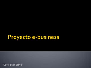 Proyecto e-businessDavid León Bravo