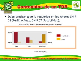 • Debe precisar todo lo requerido en los Anexos SNIP 
05 (Perfil) o Anexo SNIP 07 (Factibilidad). 
“Juntos por un Huánuco Productivo, Competitivo y Exportador” 
 