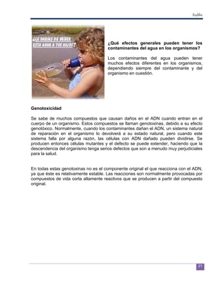 Ecofiltro




                                     ¿Qué efectos generales pueden tener los
                                     contaminantes del agua en los organismos?

                                     Los contaminantes del agua pueden tener
                                     muchos efectos diferentes en los organismos,
                                     dependiendo siempre del contaminante y del
                                     organismo en cuestión.




Genotoxicidad

Se sabe de muchos compuestos que causan daños en el ADN cuando entran en el
cuerpo de un organismo. Estos compuestos se llaman genotoxinas, debido a su efecto
genotóxico. Normalmente, cuando los contaminantes dañan el ADN, un sistema natural
de reparación en el organismo lo devolverá a su estado natural, pero cuando este
sistema falla por alguna razón, las células con ADN dañado pueden dividirse. Se
producen entonces células mutantes y el defecto se puede extender, haciendo que la
descendencia del organismo tenga serios defectos que son a menudo muy perjudiciales
para la salud.


En todas estas genotoxinas no es el componente original el que reacciona con el ADN,
ya que éste es relativamente estable. Las reacciones son normalmente provocadas por
compuestos de vida corta altamente reactivos que se producen a partir del compuesto
original.




                                                                                    21
 