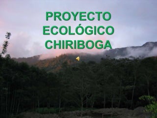 PROYECTO ECOLÓGICOCHIRIBOGA 