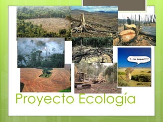 Proyecto Ecología
 