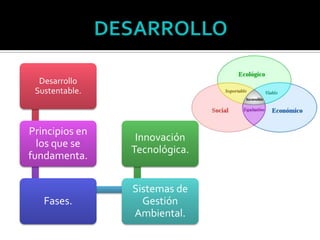 Desarrollo
Sustentable.
Principios en
los que se
fundamenta.
Fases.
Sistemas de
Gestión
Ambiental.
Innovación
Tecnológica.
 
