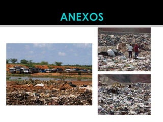 Proyecto ecologico, Desarrollo Sustentable