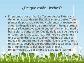 ¿De que están Hechos? 
• Empezando por arriba, los Techos Verdes Extensivos 
tienen una capa de semillas, típicamente pasto. Tiene 
plantas de poca raíz y no muy tolerantes al exceso de 
agua. La delgada capa de tierra no permite que crezcan 
plantas silvestres, ya que no pueden vivir en ese medio 
hasta cierto punto árido. Debajo de la capa de tierra se 
encuentran varias capas más. Primero se encuentra 
una capa de drenaje, la cual permite que el agua se 
mueva libremente fuera del techo, luego se encuentra 
un aislante, después encontramos una capa de barrera 
que impide el paso del agua hacia el techo 
(impermeable), y por último la estructura (techo). 
 