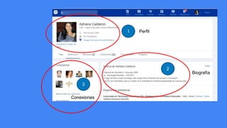 1
2
3
Perfil
Biografía
Conexiones
 