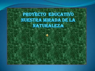 PROYECTO  EDUCATIVO NUESTRA MIRADA DE LA NATURALEZA hacia la naturaleza Cátedra: Física Docente: Silvia Da Roz 