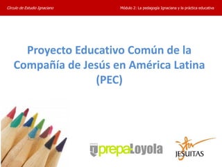 Círculo de Estudio Ignaciano   Módulo 2: La pedagogía Ignaciana y la práctica educativa




      Proyecto Educativo Común de la
    Compañía de Jesús en América Latina
                  (PEC)
 