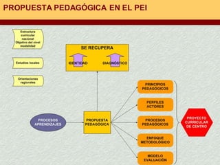 Proyecto educativo institucional