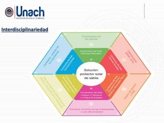 Interdisciplinariedad
 