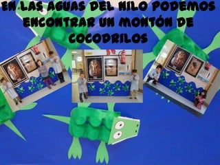 En las aguas del Nilo podemos
   encontrar un montón de
          cocodrilos
 