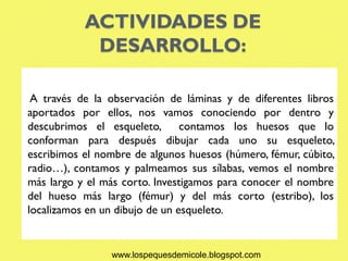 ACTIVIDADES DE
            DESARROLLO:

 A través de la observación de láminas y de diferentes libros
aportados por ellos, nos vamos conociendo por dentro y
descubrimos el esqueleto, contamos los huesos que lo
conforman para después dibujar cada uno su esqueleto,
escribimos el nombre de algunos huesos (húmero, fémur, cúbito,
radio…), contamos y palmeamos sus sílabas, vemos el nombre
más largo y el más corto. Investigamos para conocer el nombre
del hueso más largo (fémur) y del más corto (estribo), los
localizamos en un dibujo de un esqueleto.


                www.lospequesdemicole.blogspot.com
 