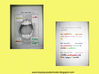 www.lospequesdemicole.blogspot.com
 
